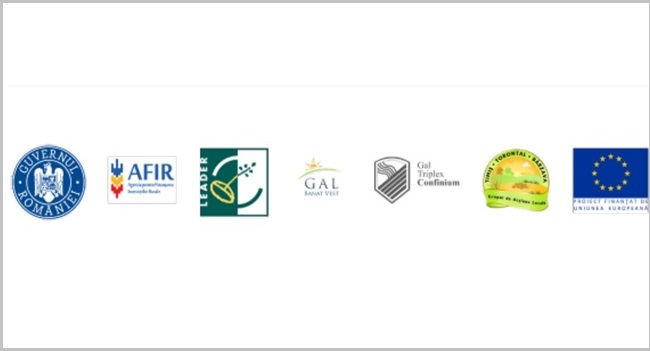 Deta – parte activă a proiectului „Banat Impact Cultur”