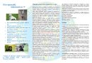 Anunț din partea IPJ Timiș – Biroul pentru Protecția Animalelor!