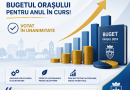 Bugetul a fost votat în Consiliul Local